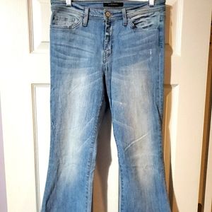 Flying Monkey Mid-Rise Flare Jean